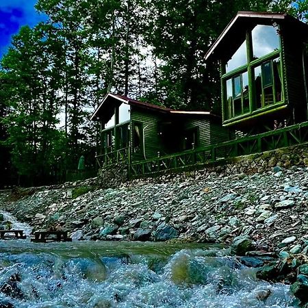 Doga Su Minimal Evler Villa Sapanca Luaran gambar