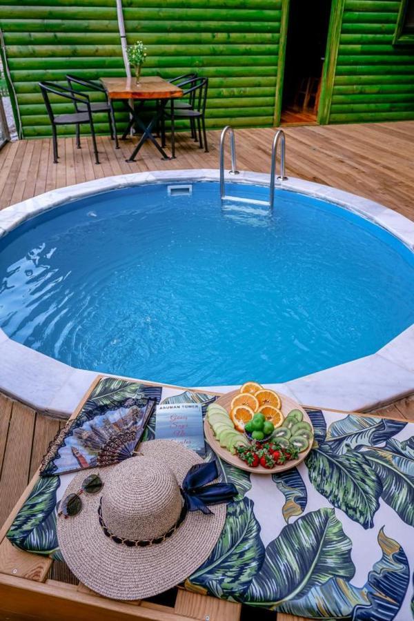 Doga Su Minimal Evler Villa Sapanca Luaran gambar