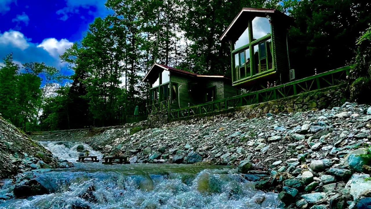 Doga Su Minimal Evler Villa Sapanca Luaran gambar