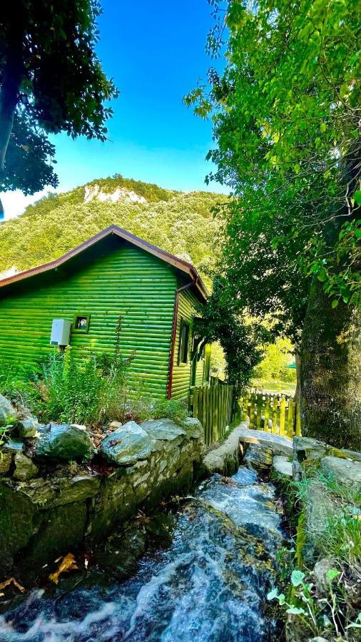 Doga Su Minimal Evler Villa Sapanca Luaran gambar
