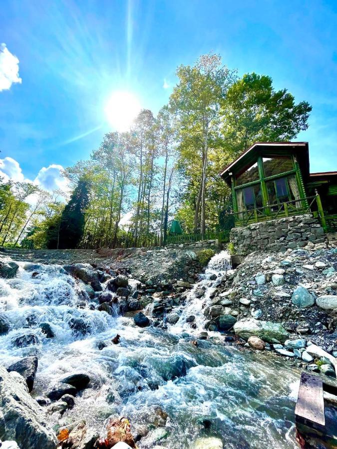 Doga Su Minimal Evler Villa Sapanca Luaran gambar