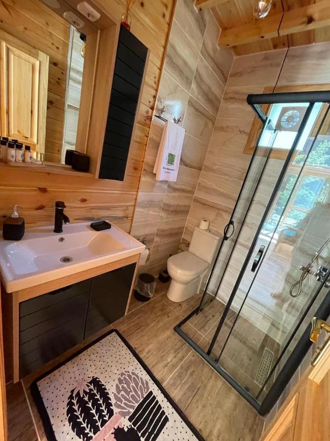 Doga Su Minimal Evler Villa Sapanca Luaran gambar